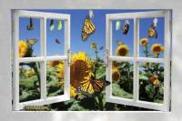 Opening the windows to a world of possibilities.