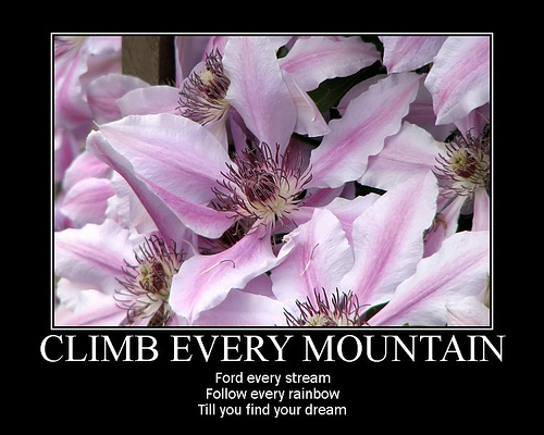 Climb Every Mountain