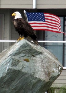 american eagle with flag